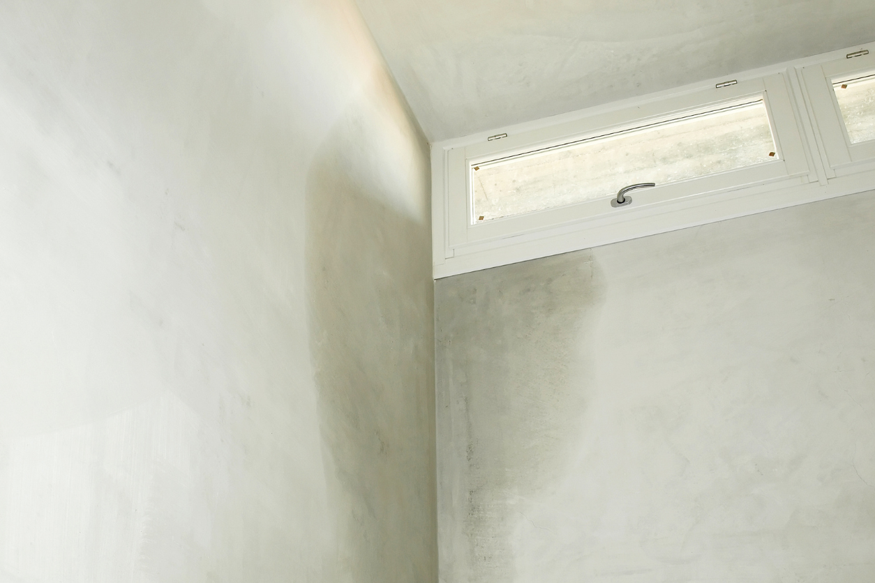 Mugg eller jordslag på kjellervegger Saltutslag eller misfargede flekker på mur