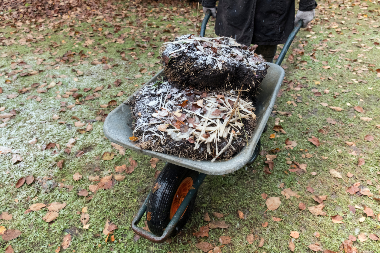 Frost hage, jord på trillebård